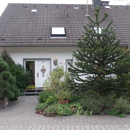 Apartmán Querbach Burgen  Exteriér fotografie