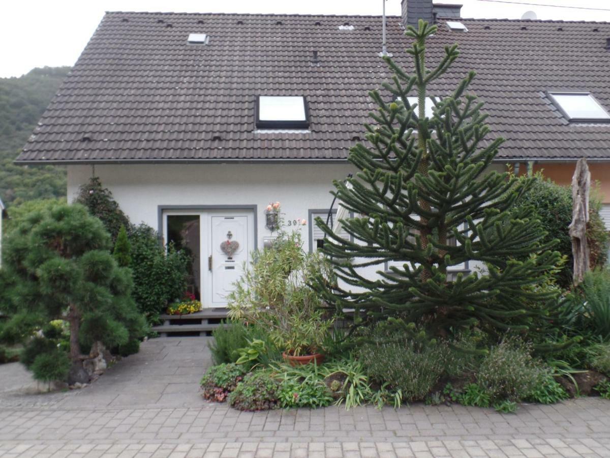 Apartmán Querbach Burgen  Exteriér fotografie